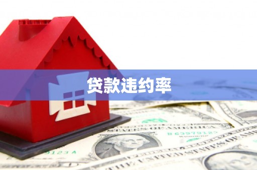 柳北贷款违约率