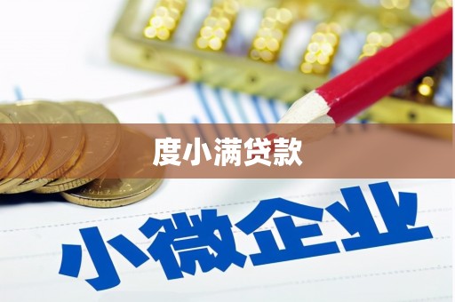 柳北度小满贷款