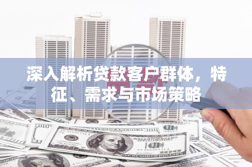 柳北深入解析贷款客户群体，特征、需求与市场策略