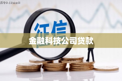 柳北金融科技公司贷款