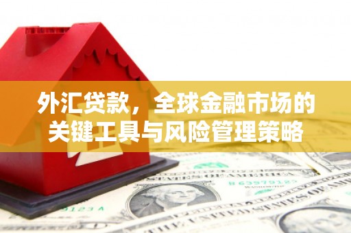 柳北外汇贷款，全球金融市场的关键工具与风险管理策略
