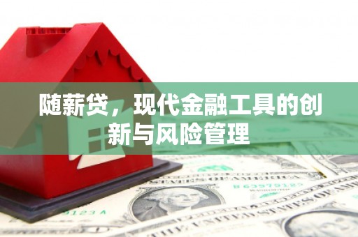柳北随薪贷，现代金融工具的创新与风险管理