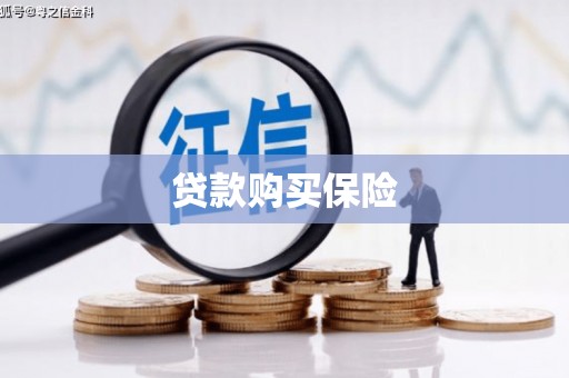 柳北贷款购买保险