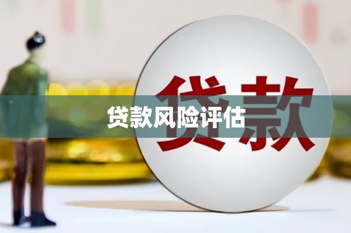 柳北贷款风险评估