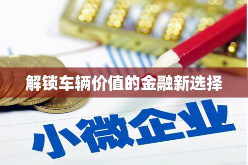 柳北解锁车辆价值的金融新选择