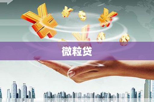 柳北微粒贷