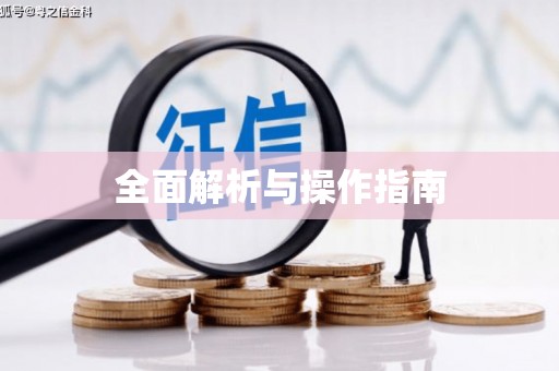 柳北全面解析与操作指南