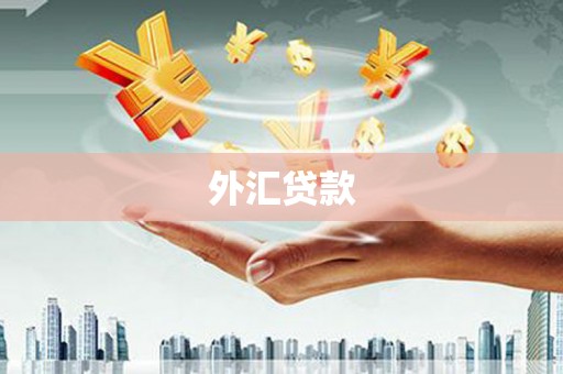 柳北外汇贷款