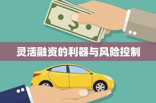 柳北灵活融资的利器与风险控制