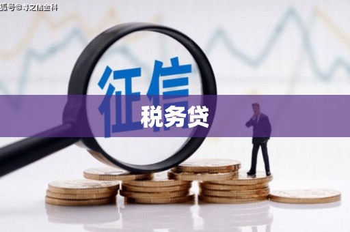 柳北税务贷