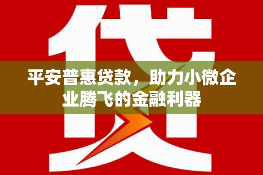柳北平安普惠贷款，助力小微企业腾飞的金融利器