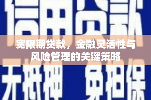柳北宽限期贷款，金融灵活性与风险管理的关键策略