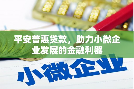 柳北平安普惠贷款，助力小微企业发展的金融利器