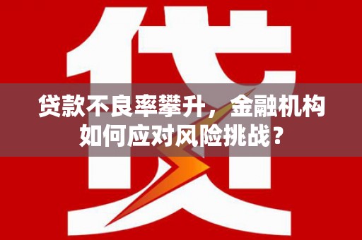 柳北贷款不良率攀升，金融机构如何应对风险挑战？