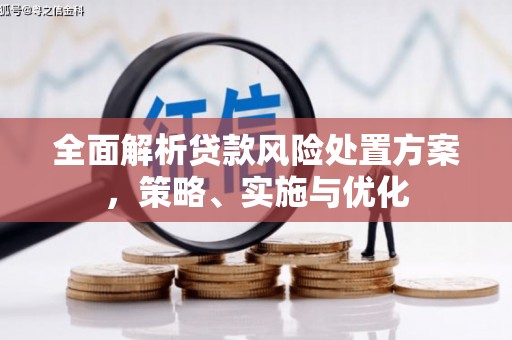 柳北全面解析贷款风险处置方案，策略、实施与优化