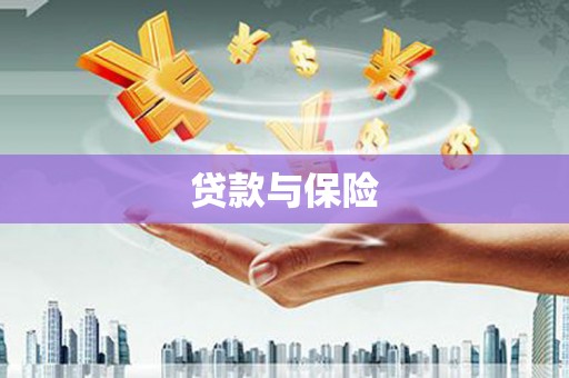 柳北贷款与保险