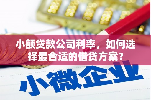 柳北小额贷款公司利率，如何选择最合适的借贷方案？
