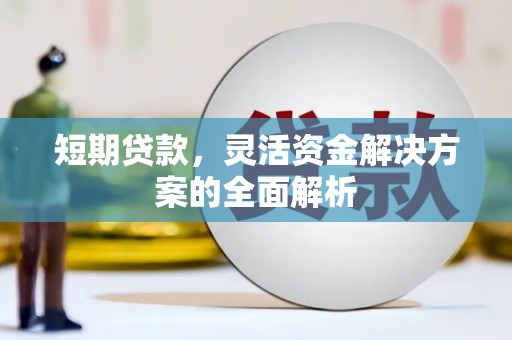柳北短期贷款，灵活资金解决方案的全面解析