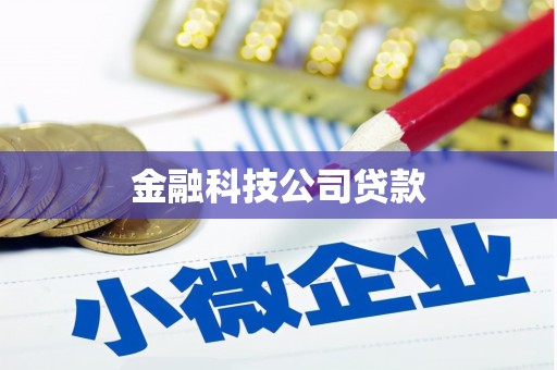 柳北金融科技公司贷款