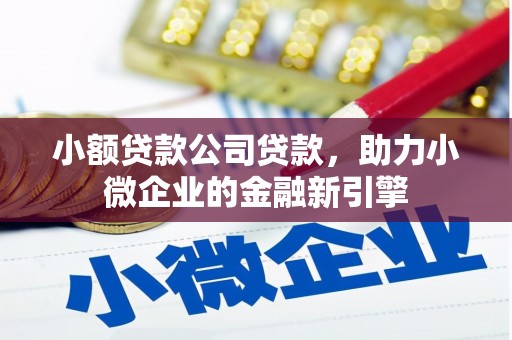 柳北小额贷款公司贷款，助力小微企业的金融新引擎