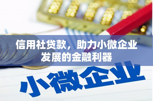 柳北信用社贷款，助力小微企业发展的金融利器