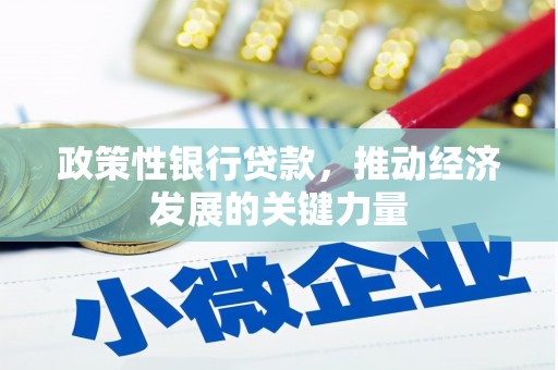 柳北政策性银行贷款，推动经济发展的关键力量
