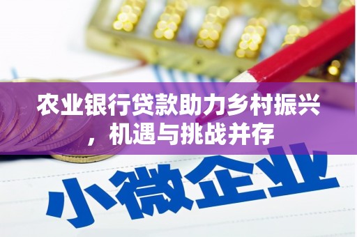 柳北农业银行贷款助力乡村振兴，机遇与挑战并存
