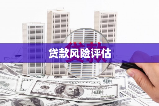 柳北贷款风险评估