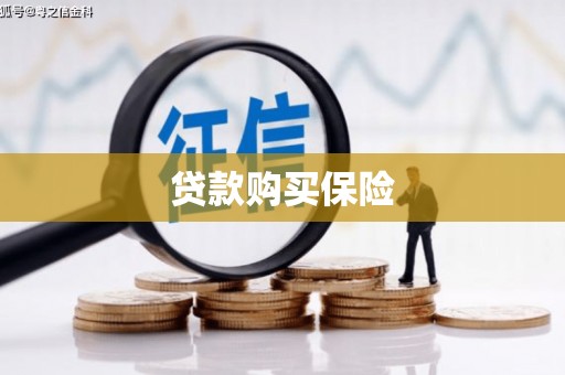 柳北贷款购买保险