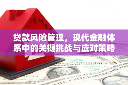 柳北贷款风险管理，现代金融体系中的关键挑战与应对策略