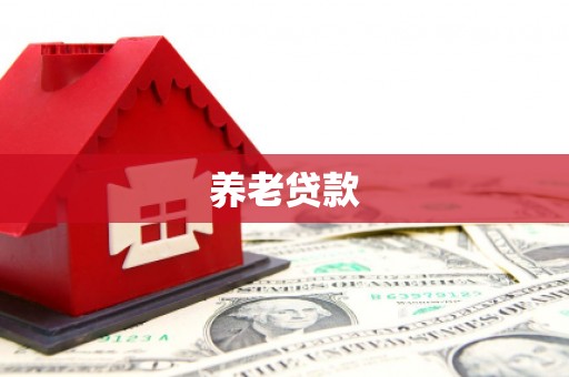 柳北养老贷款