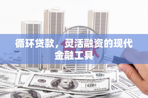 柳北循环贷款，灵活融资的现代金融工具