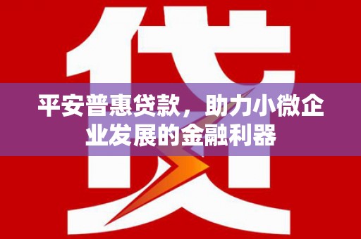 柳北平安普惠贷款，助力小微企业发展的金融利器