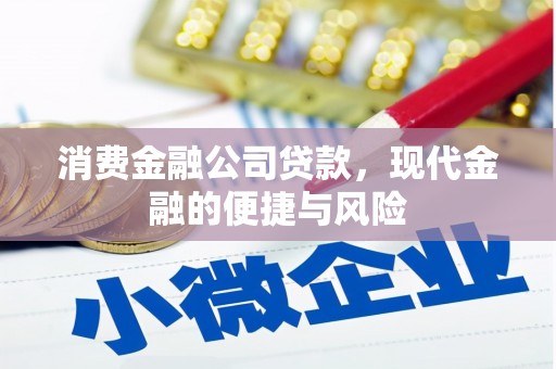 柳北消费金融公司贷款，现代金融的便捷与风险