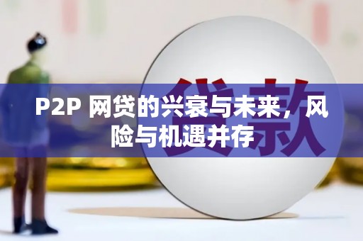 柳北P2P 网贷的兴衰与未来，风险与机遇并存