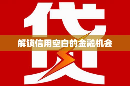 柳北解锁信用空白的金融机会