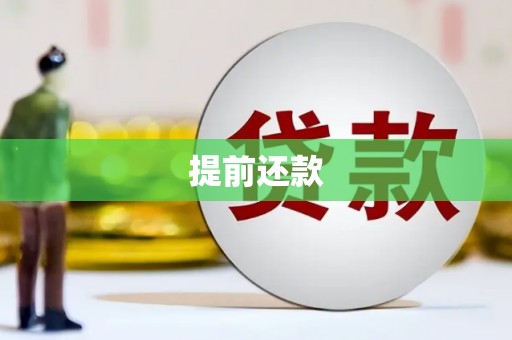 柳北提前还款
